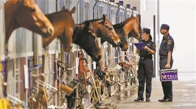 “马脸识别”助香港赛马“淡定”跨境