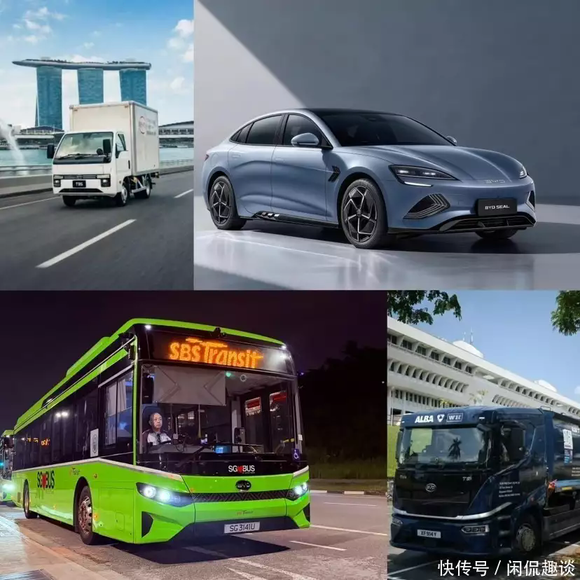 比亚迪在新加坡拿下多个“冠军”