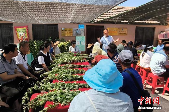 “仪式感”成就情绪消费新体验 青岛艾草制品端午节俏销